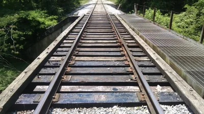 Chickamauga - Photo 3