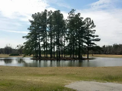 Blackville - Photo 4