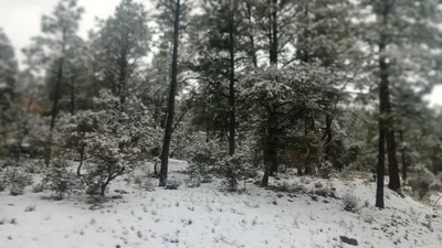 Mimbres - Photo 3