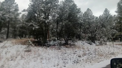 Mimbres - Photo 4