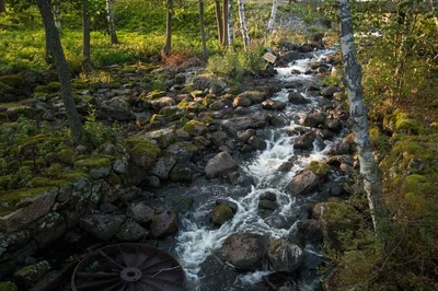 Finland - Photo 4