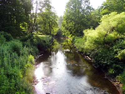 Pocahontas County - Photo 3