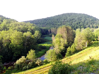 Pocahontas County - Photo 4