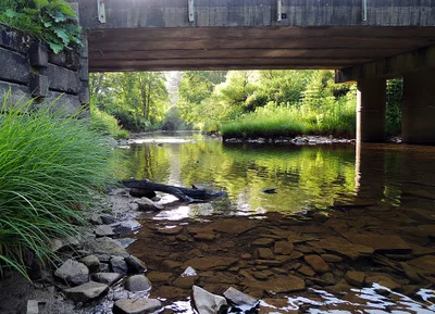 Pocahontas County - Photo 5