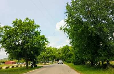 Concan - Photo 2