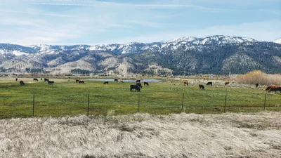 New Washoe City - Photo 4