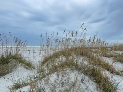 Fripp Island - Photo 2