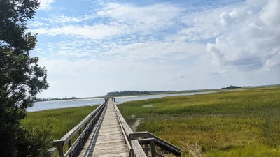 Fripp Island - Photo 5