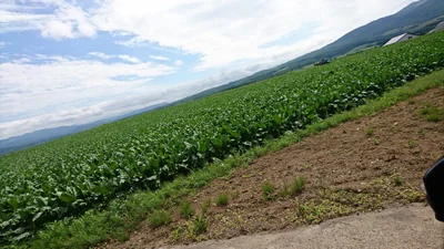 Kyowa - Photo 3