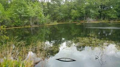 Huger - Photo 3