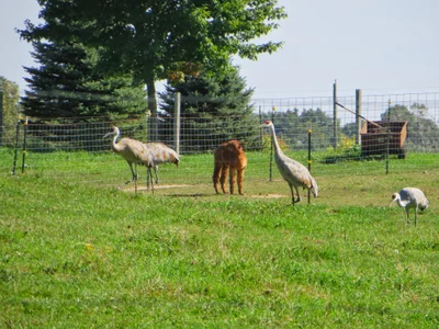 Cass County - Photo 3
