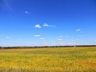 Cass County - Photo 5