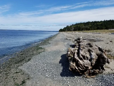 Marrowstone Island - Photo 2