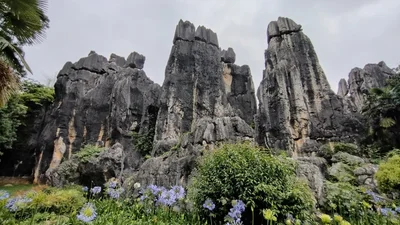 Shilin - Photo 3