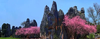 Shilin - Photo 4
