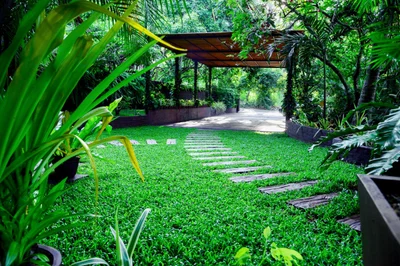 Mawanella - Photo 3