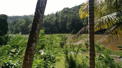 Mawanella - Photo 5