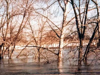 Shepherdsville - Photo 4