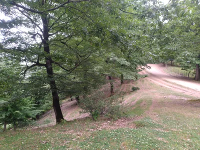 Lankaran - Photo 2