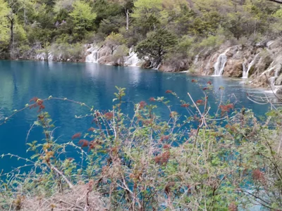 Jiuzhaigou - Photo 2