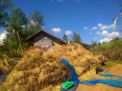 Phu Wiang - Photo 2