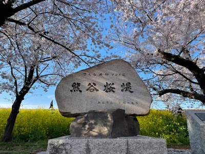 Sakura - Photo 3
