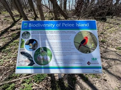Pelee Island - Photo 3
