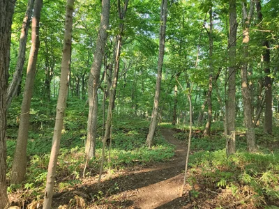 Pelee Island - Photo 4