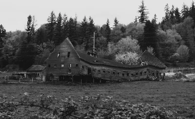 Chimacum - Photo 2