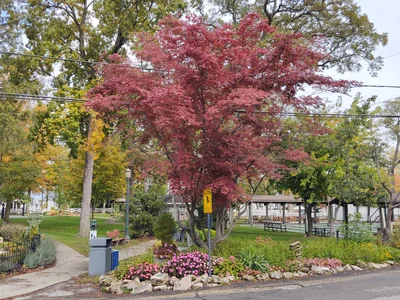 Marblehead - Photo 2