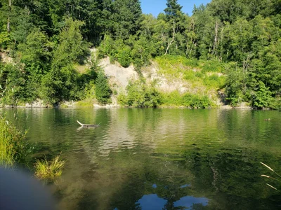 Carson - Photo 2