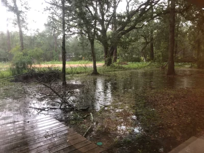 Madisonville - Photo 3