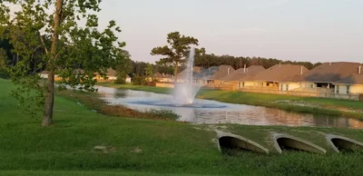Madisonville - Photo 5