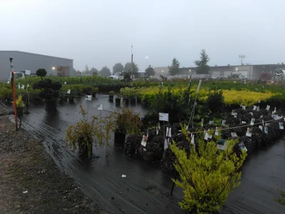 Evans - Photo 2