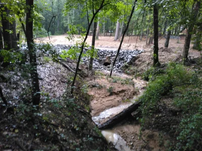 Evans - Photo 5