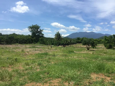 Soi Dao - Photo 4