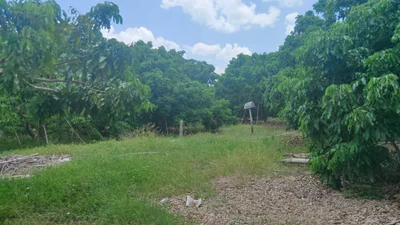 Soi Dao - Photo 5