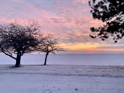 Grosse Pointe Shores - Photo 2