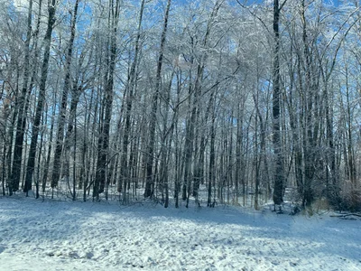 Silver Point - Photo 2