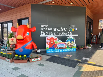 Kikonai - Photo 3