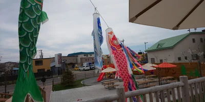 Kikonai - Photo 5