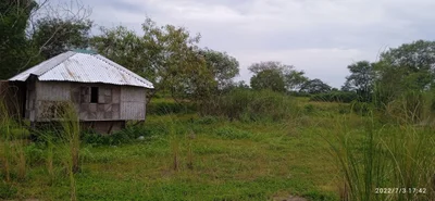 Tayug - Photo 4