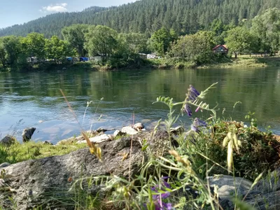 Ahsahka - Photo 4