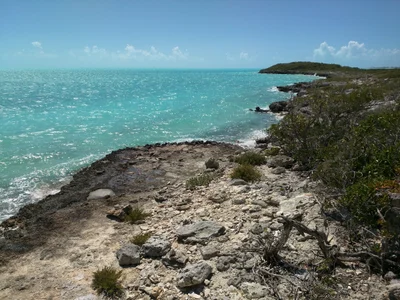 Downtown Providenciales - Photo 3