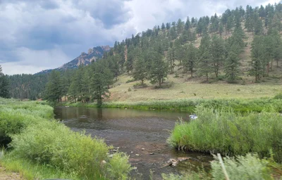 Sedalia - Photo 3