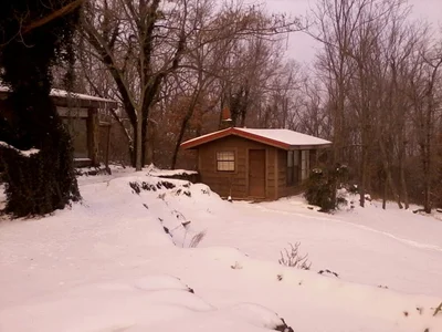 West Fork - Photo 4