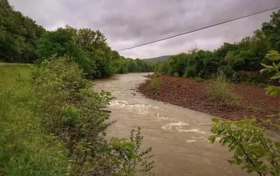 West Fork - Photo 5