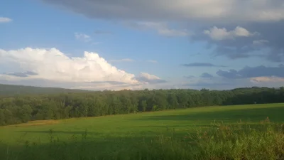 Union Dale - Photo 3