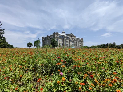 Tongxiang - Photo 2