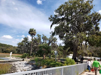 Daufuskie Island - Photo 5